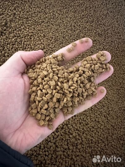 Корм для собак супер премиум