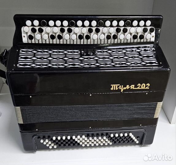 Баян Тула 202