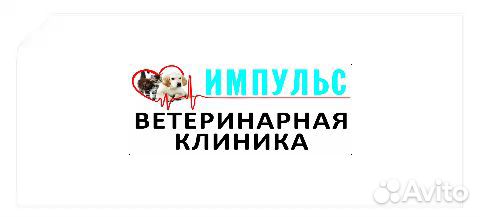 Мастер чистоты