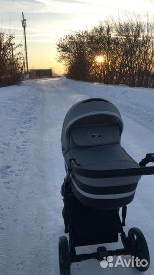 Коляска адамекс 2 в 1