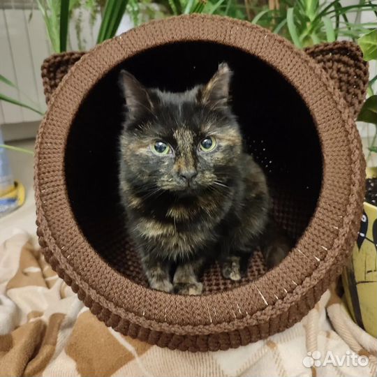 Лежанка для животных