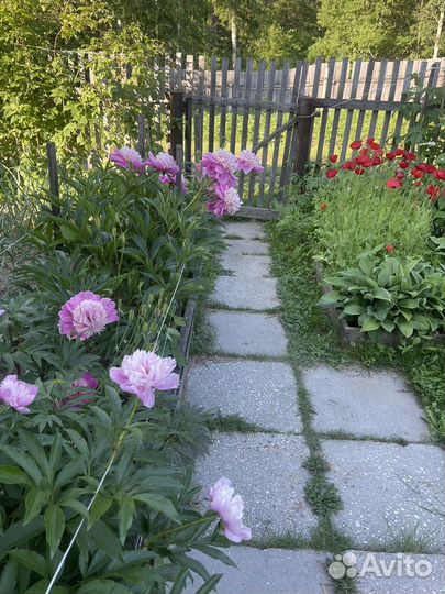 Отдых за городом