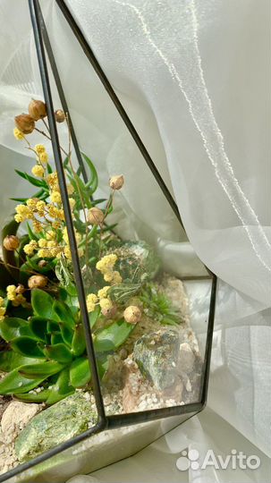 Флорариум с суккулентами