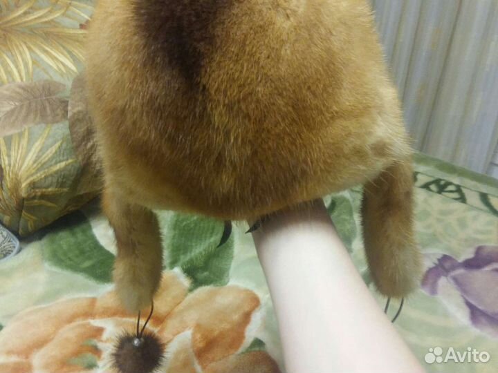 Шапка норковая женская