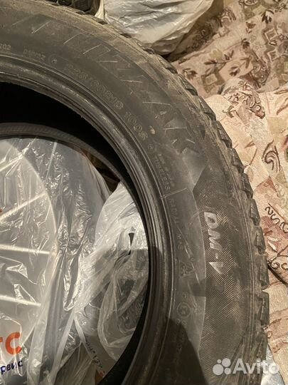 Bridgestone Blizzak DM-V2 225/60 R18 100S
