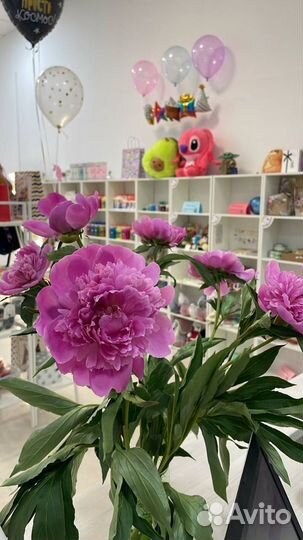 Аренда полки в магазине на месяц