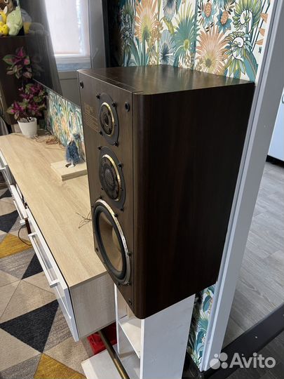 Акустика diatone DS 1000