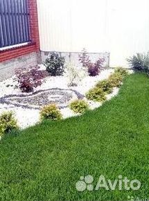 Рулонный газон