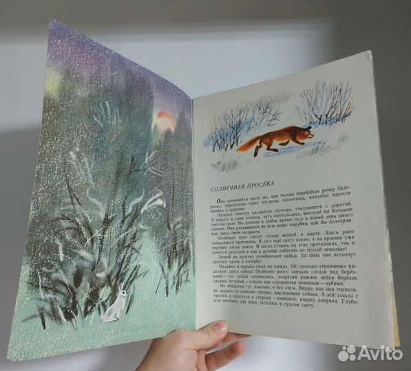 Марихин Н. Солнечная просека 1990 г