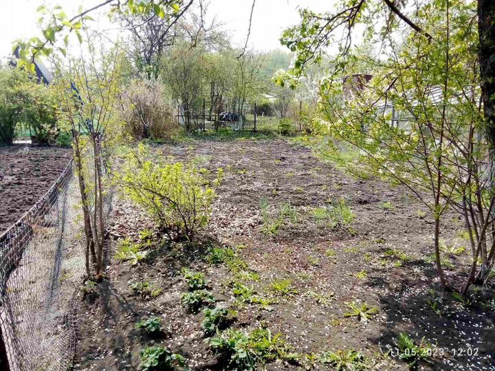 Участок 4 сот. (СНТ, ДНП)