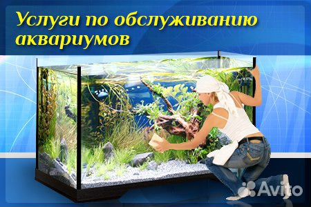 Чистка аквариумов Москва и Московская обл