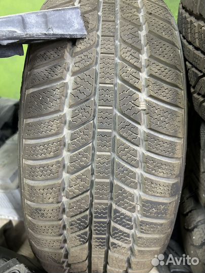 Evergreen DynaMaster EV517 195/55 R15 23J