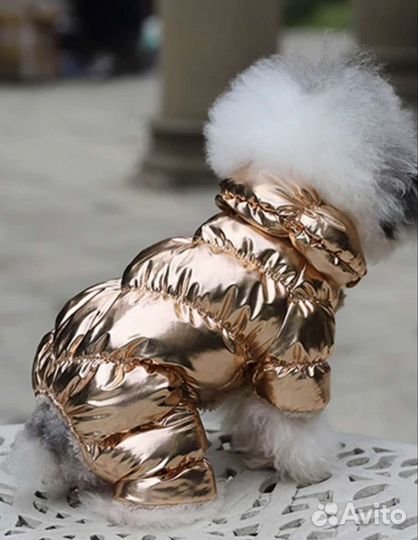 Дизайнерская одежда для маленькой собачки