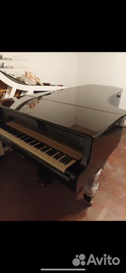 Рояль bluthner концертный
