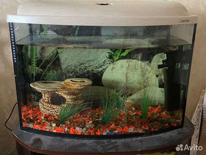 Аквариум для рыб