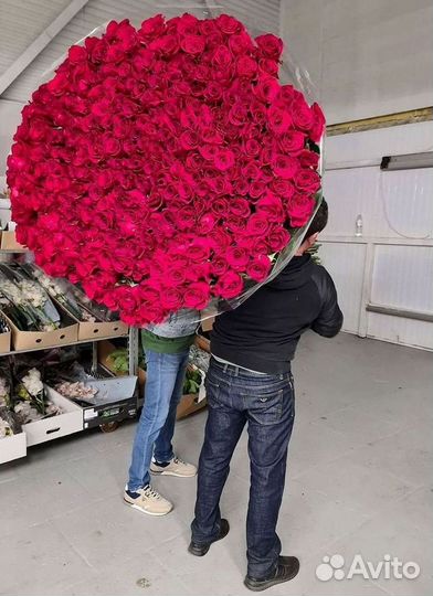 Высокие розы Доставка цветов