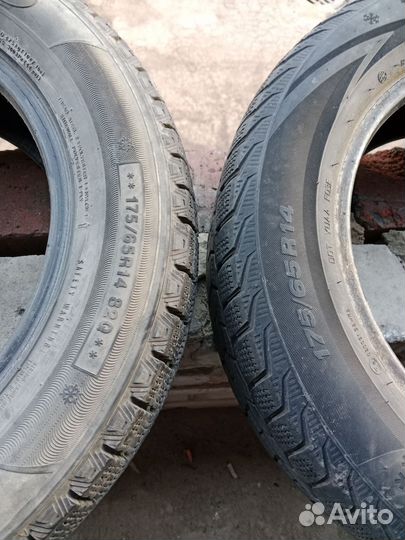 Viatti Brina V-521 175/65 R14