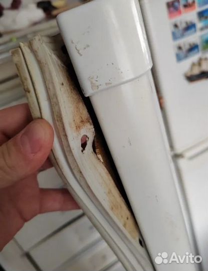 Уплотнитель для холодильника Дэу FR-417S5