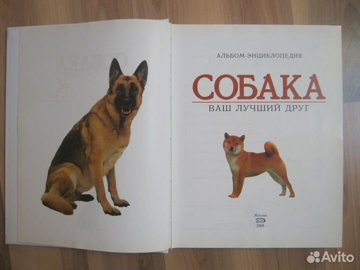 Книга Собака ваш лучший друг