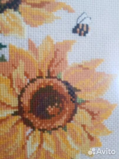 Подсолнухи