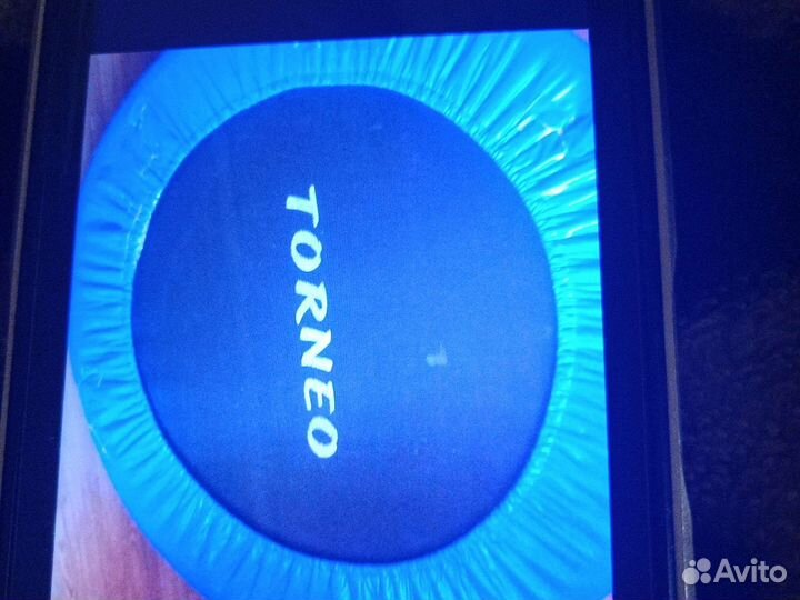 Батут спортивный Torneo 120 кг