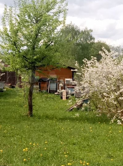 Участок 32 сот. (СНТ, ДНП)