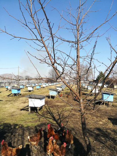 Участок 3 га (СНТ, ДНП)