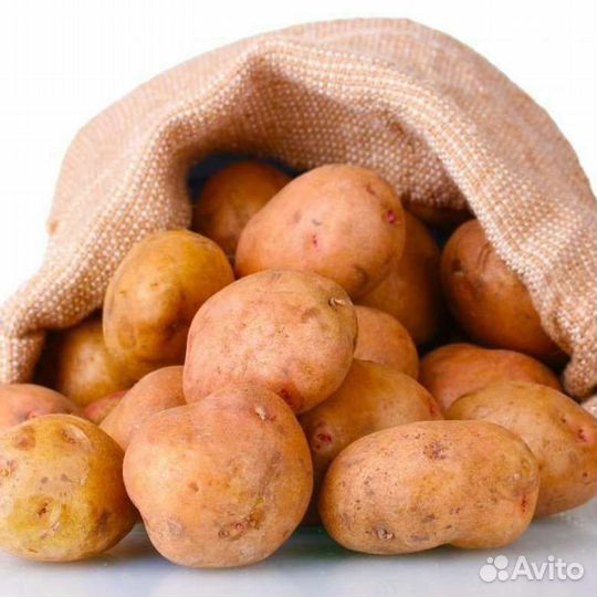Отборный картофель доставка