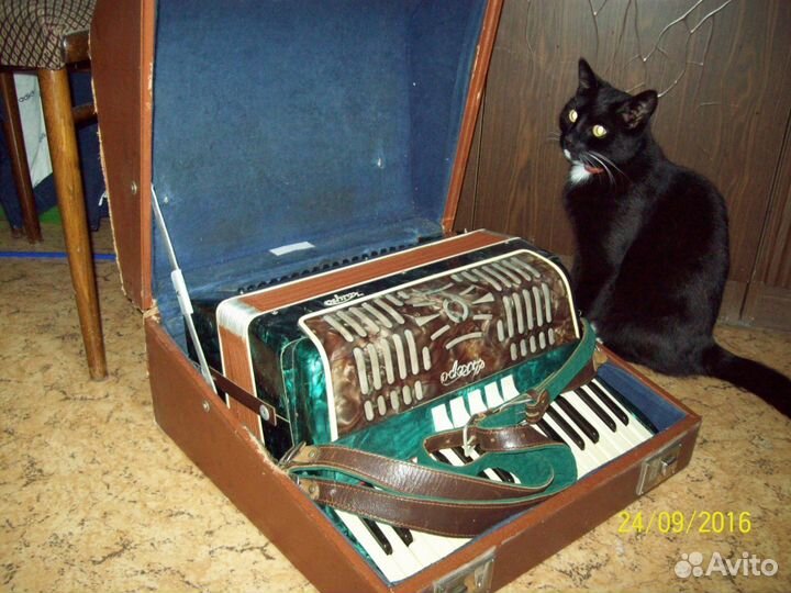 Аккордеон Аккорд г. Калуга