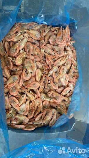 Свежая рыба морепродукты