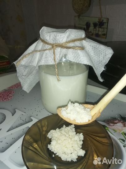 Тибетский молочный кефирный гриб