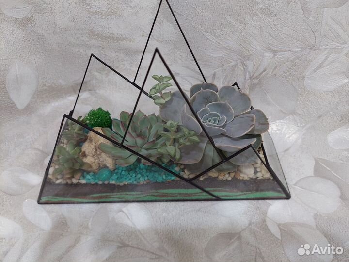 Флорариумы