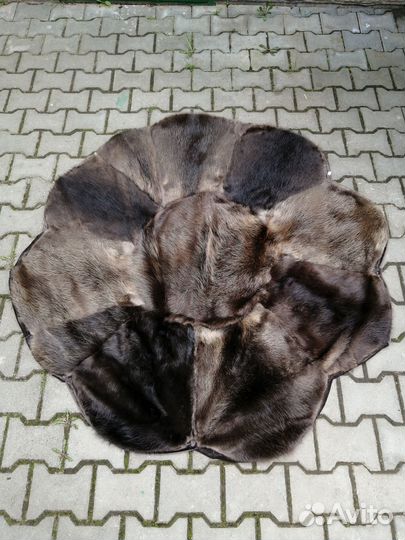 Выделка шкур. Изготовление чучелов. Кострома