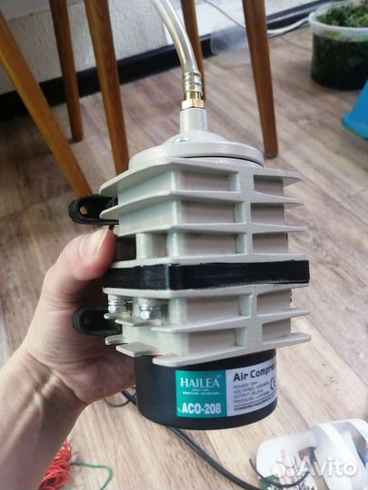 Живые корма и аквариумная живность