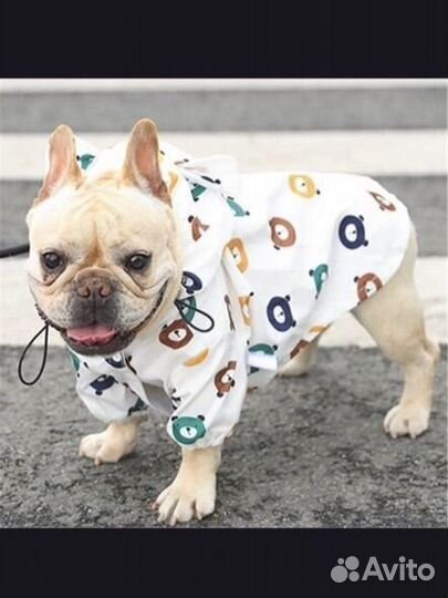 Одежда для собак