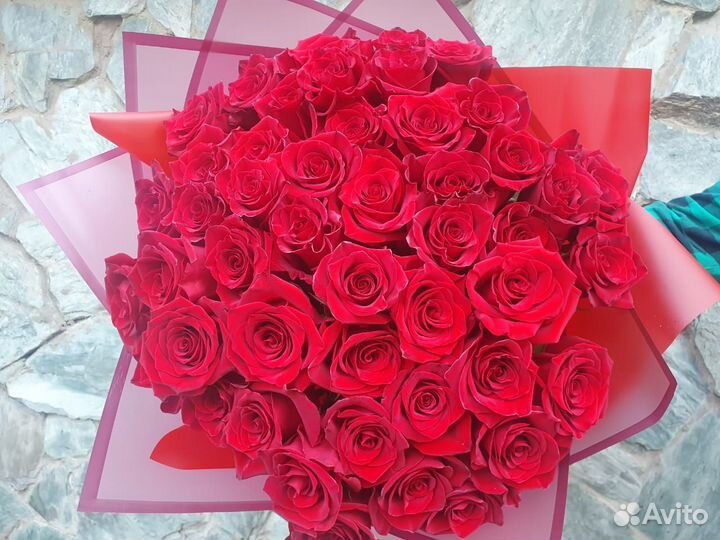 Роза эквадор по акции томск