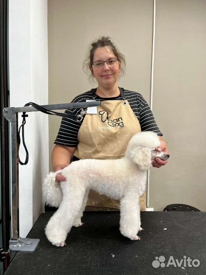 Груминг для собак