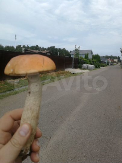 Участок 15 сот. (СНТ, ДНП)