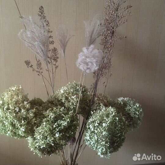 Сухоцветы в интерьере