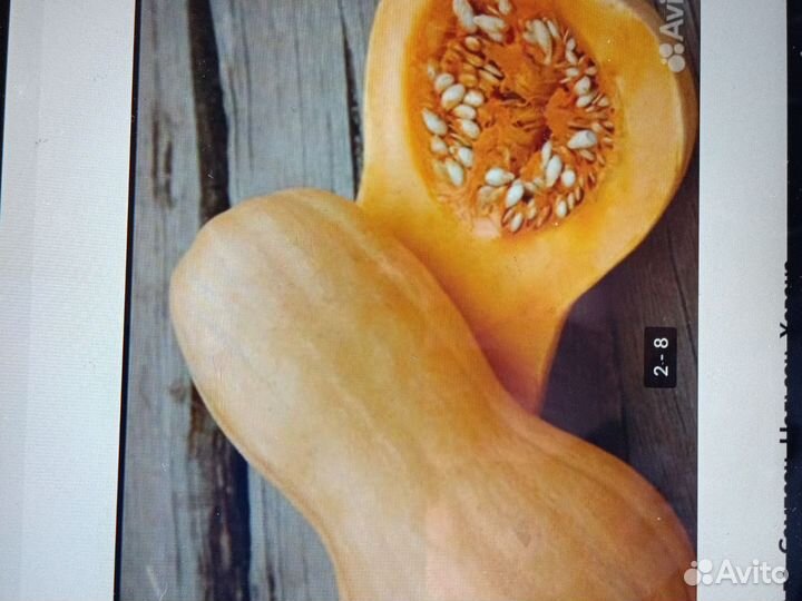 Тыква сладкая