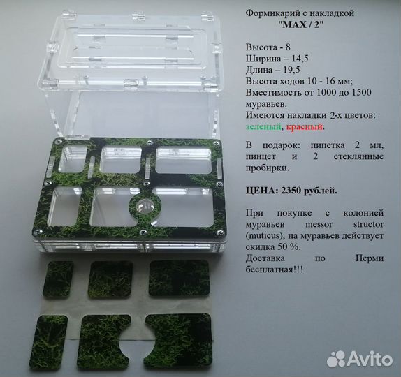 Формикарий, муравьиный дом