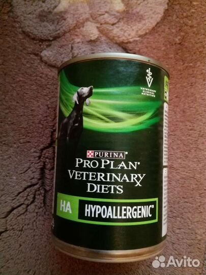 Влажный корм для собак