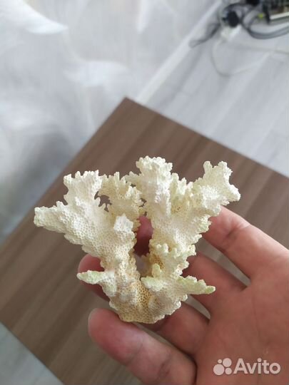 Декор для аквариума