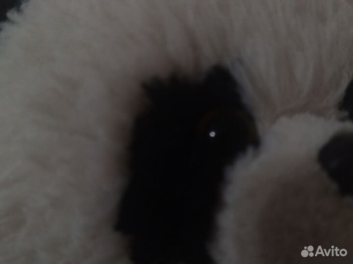 Данная игрушка понравится многим детям)