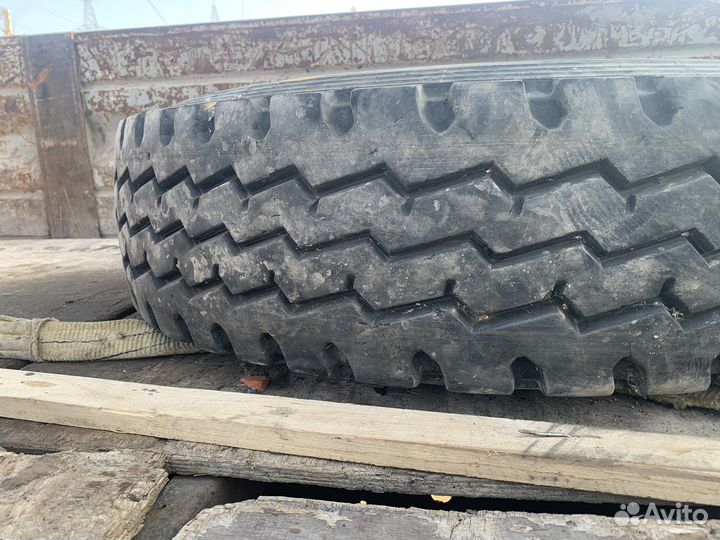 Ovation VI-702 12.00/20 R12