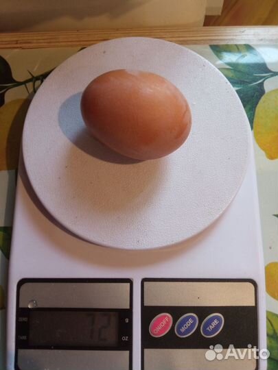 Домашние куриные яйца