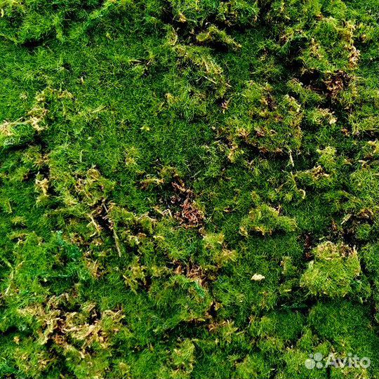 Мох искусственный 