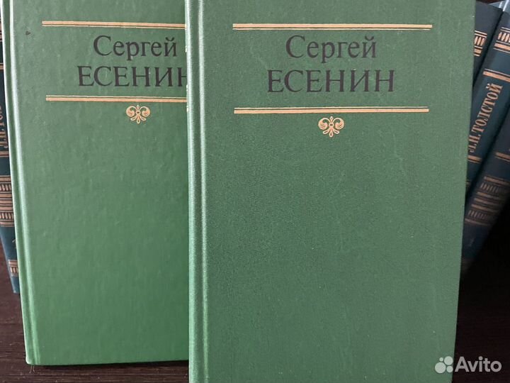 Книги Сергей Есенин 2 тома