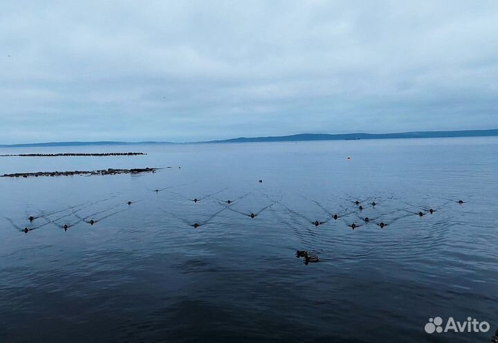 8июн24 ж/д тур 