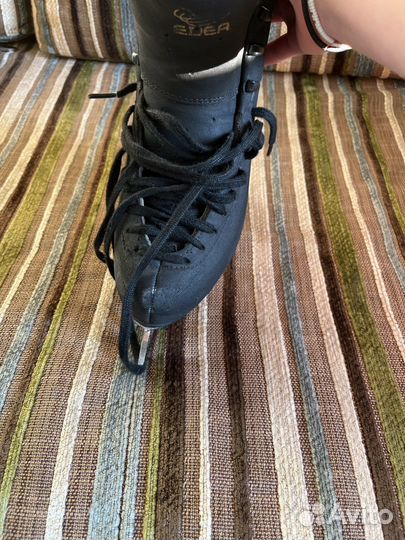 Коньки для фигурного катания edea